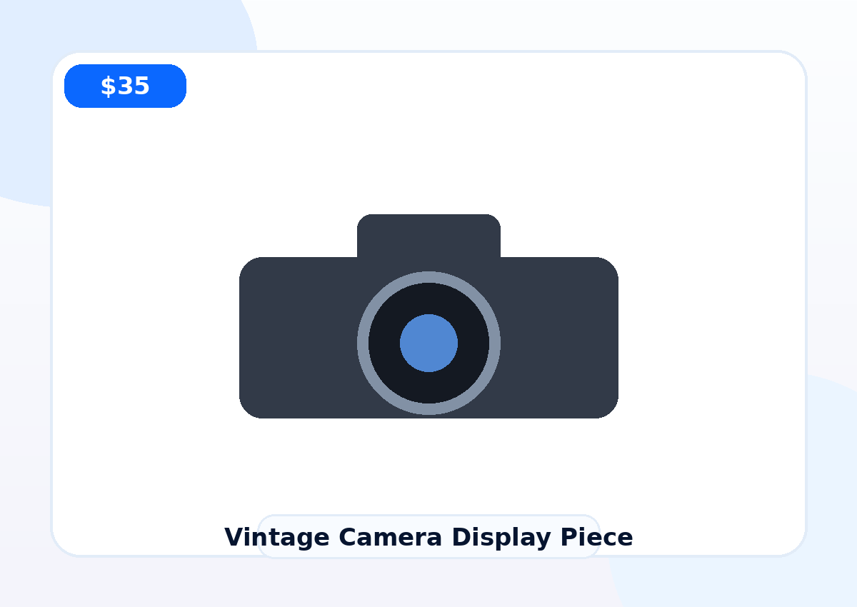 Vintage Camera Display Piece